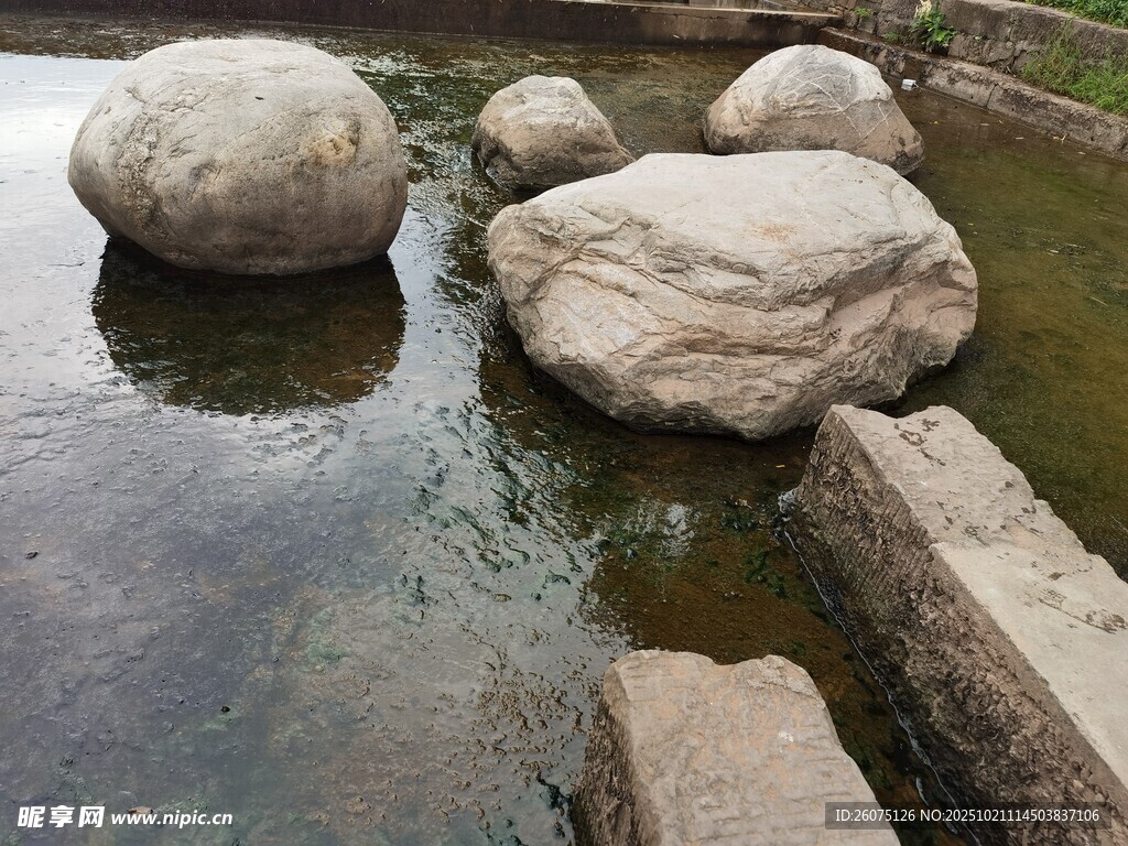 池塘中的圆润大石
