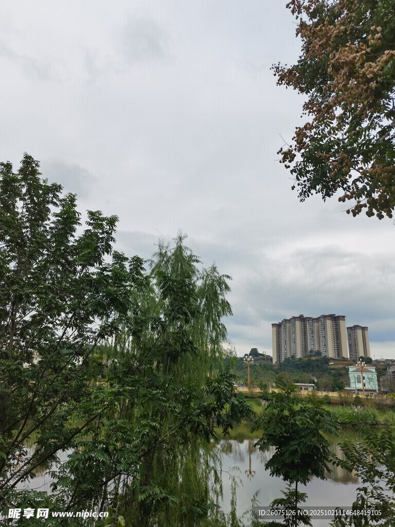 湖畔绿树与远处楼宇景色