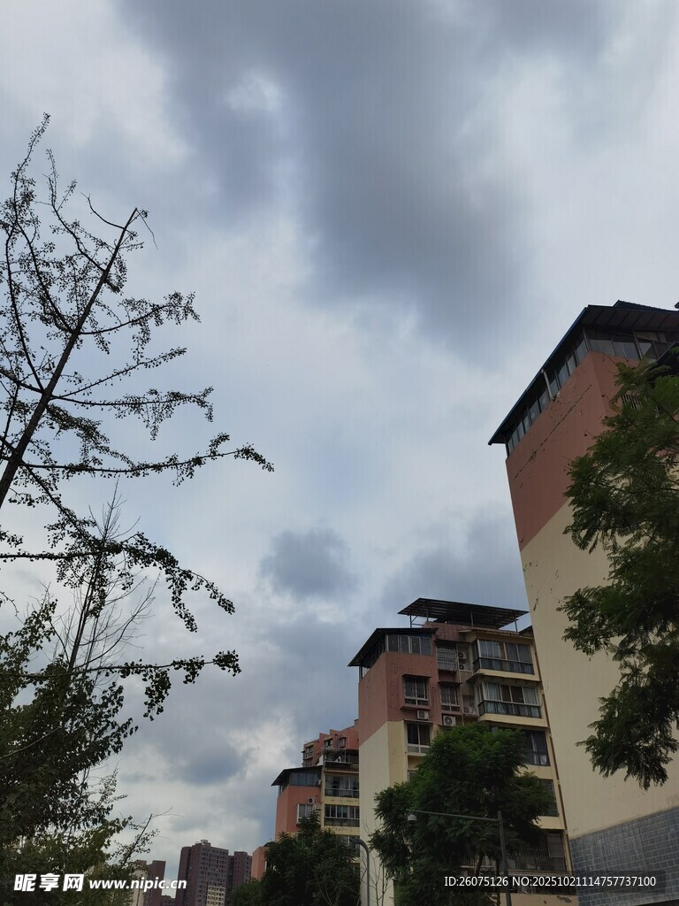 阴天里的居民楼与树木