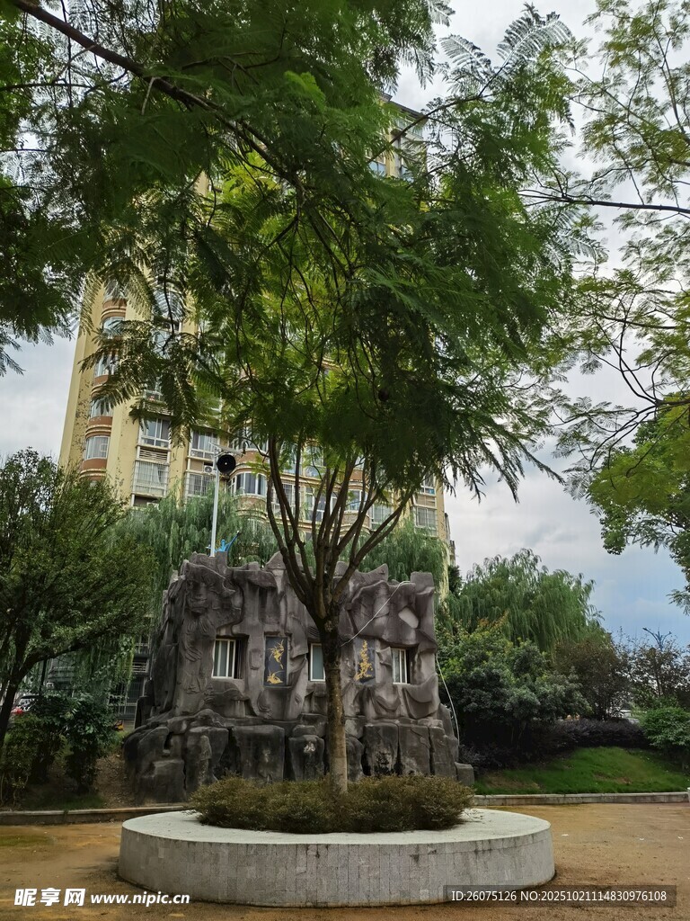 园林中独特造型的树木景观