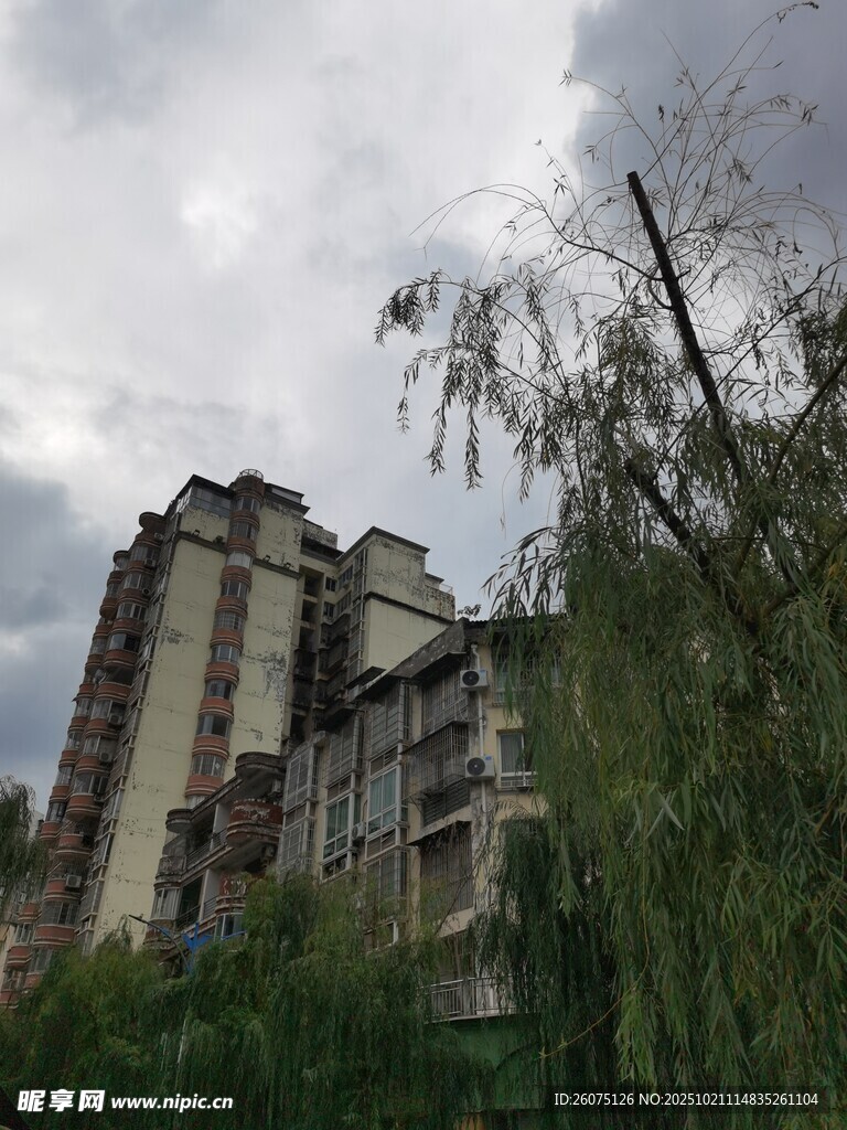 老旧楼房旁的垂柳与天空