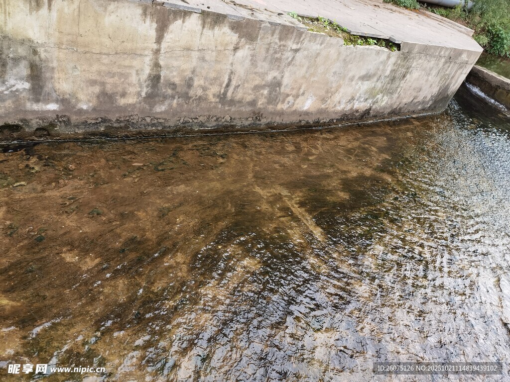 潺潺溪流清澈见底