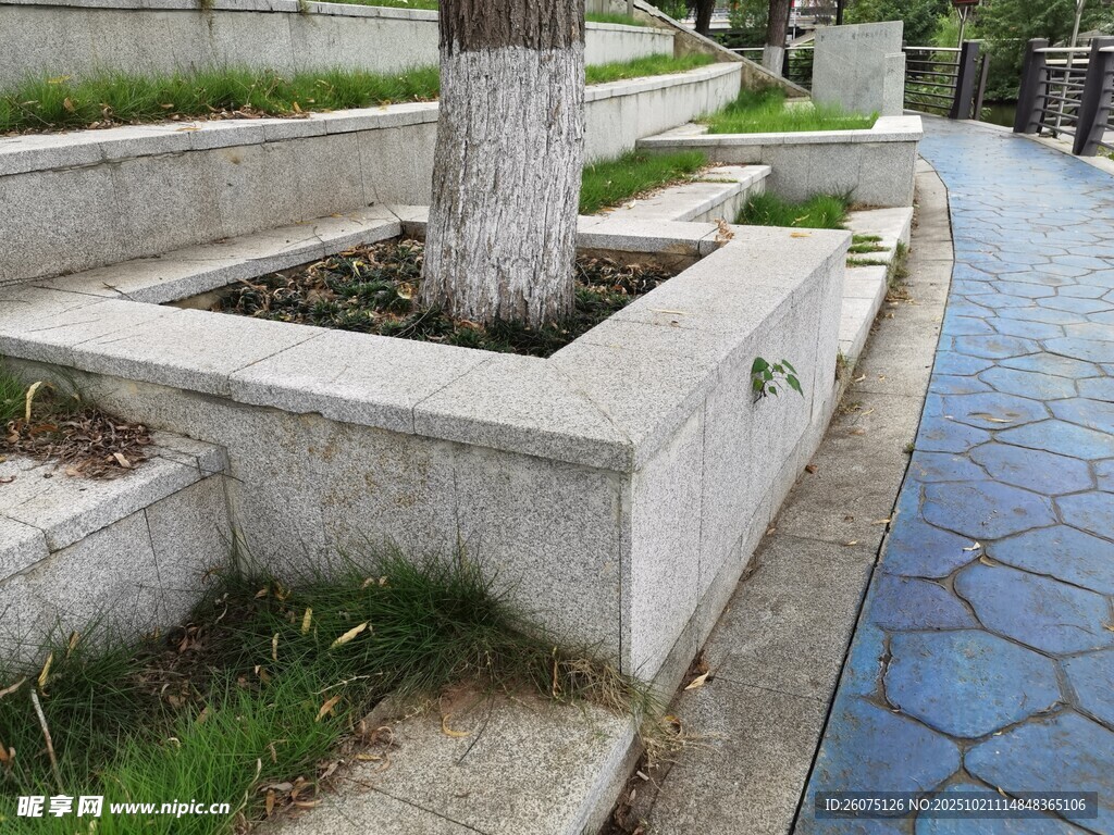 城市街边树池景观