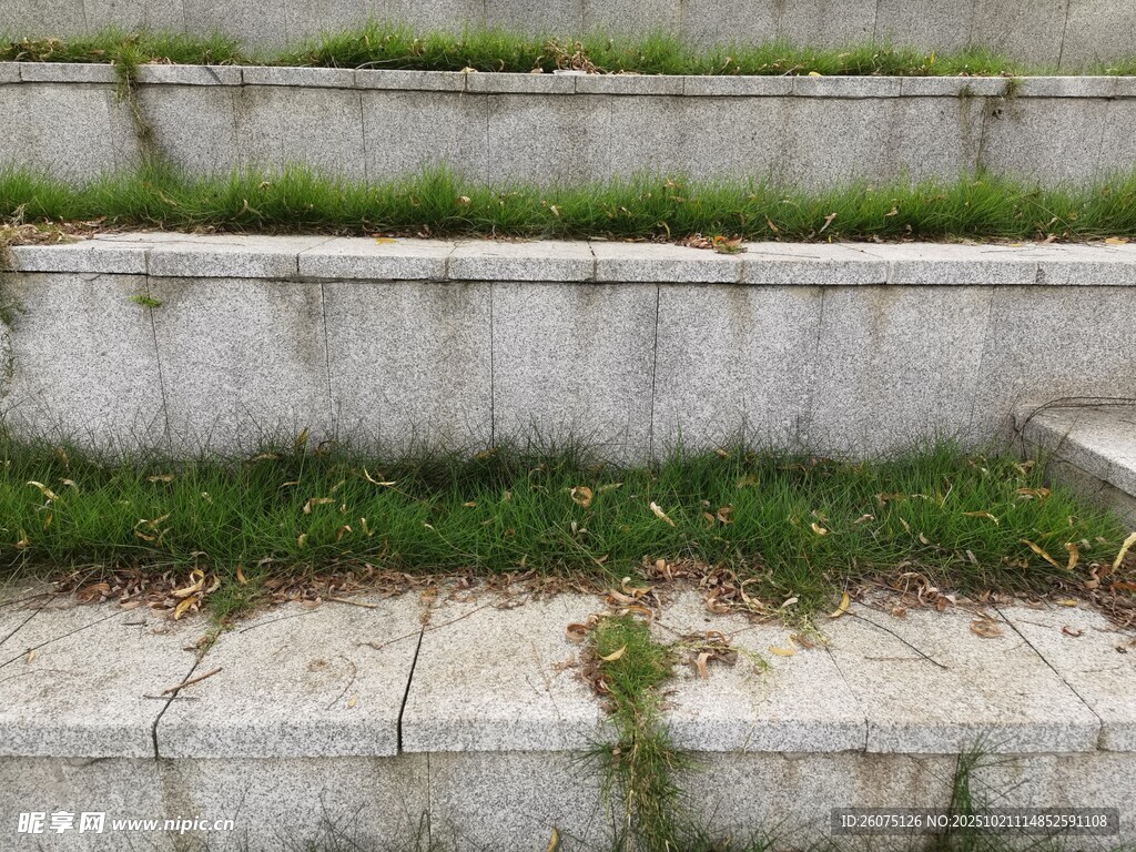 长满青草的石阶