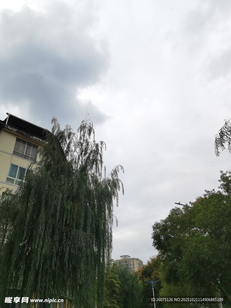 阴天垂柳旁的建筑景观