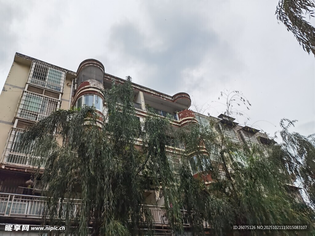 老旧居民楼外绿植繁茂