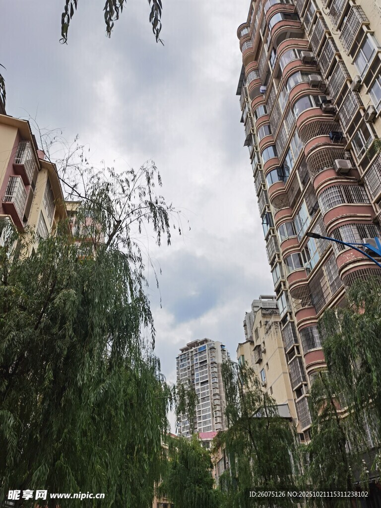 城市居民区中的绿植与楼房