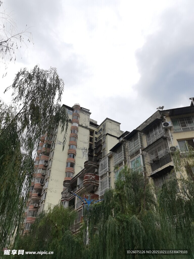 多层住宅旁的葱郁绿植