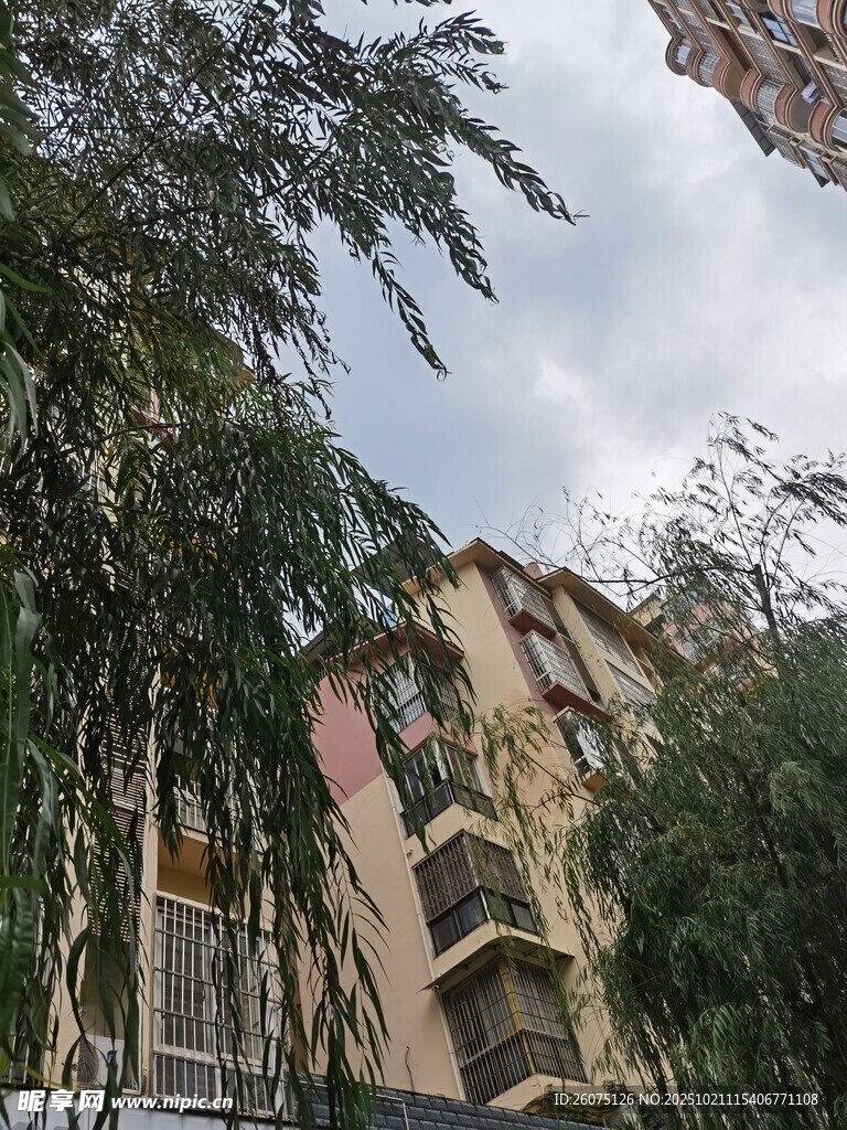 绿树掩映下的居民楼