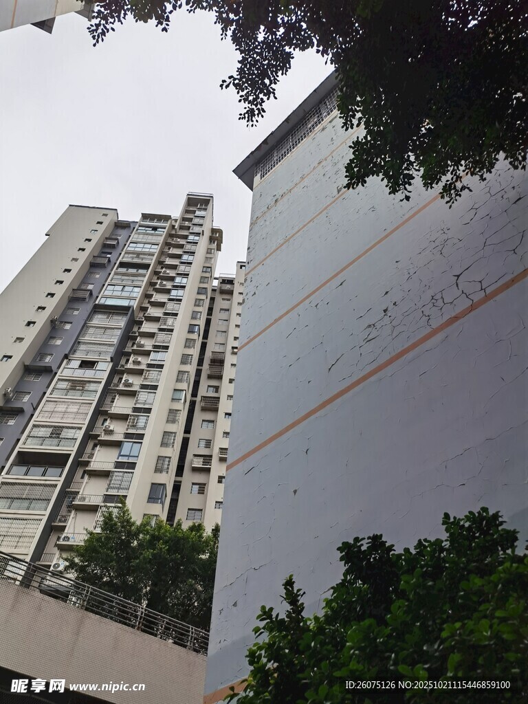 城市高楼与绿植景观