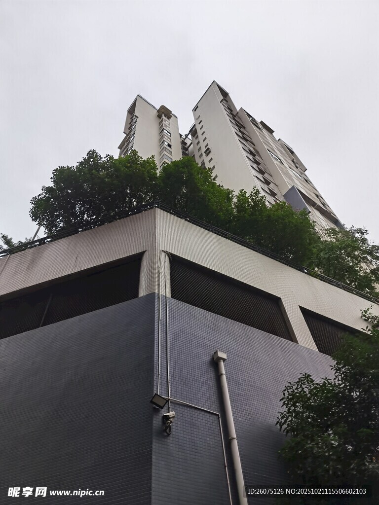屋顶绿植覆盖的现代建筑