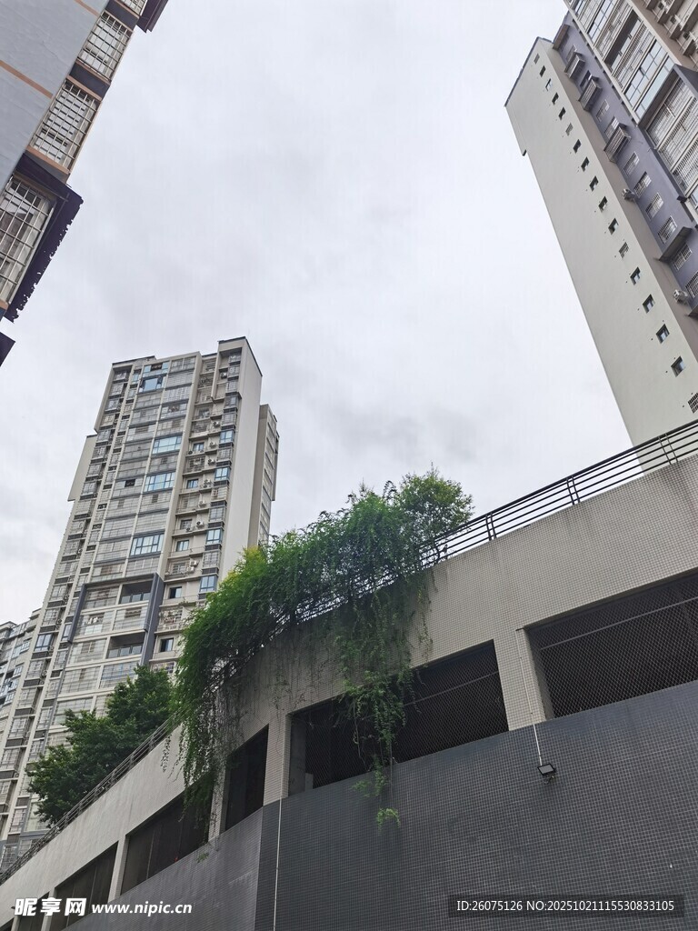 城市高楼间的绿植景观