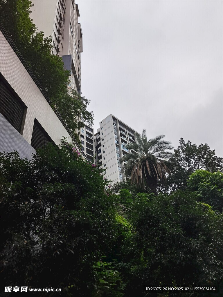 绿植环绕的现代建筑景观