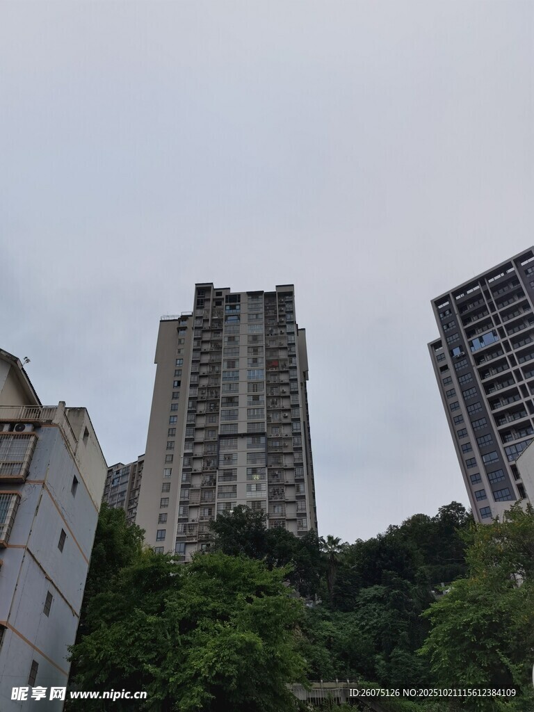 高楼林立于葱郁山林间