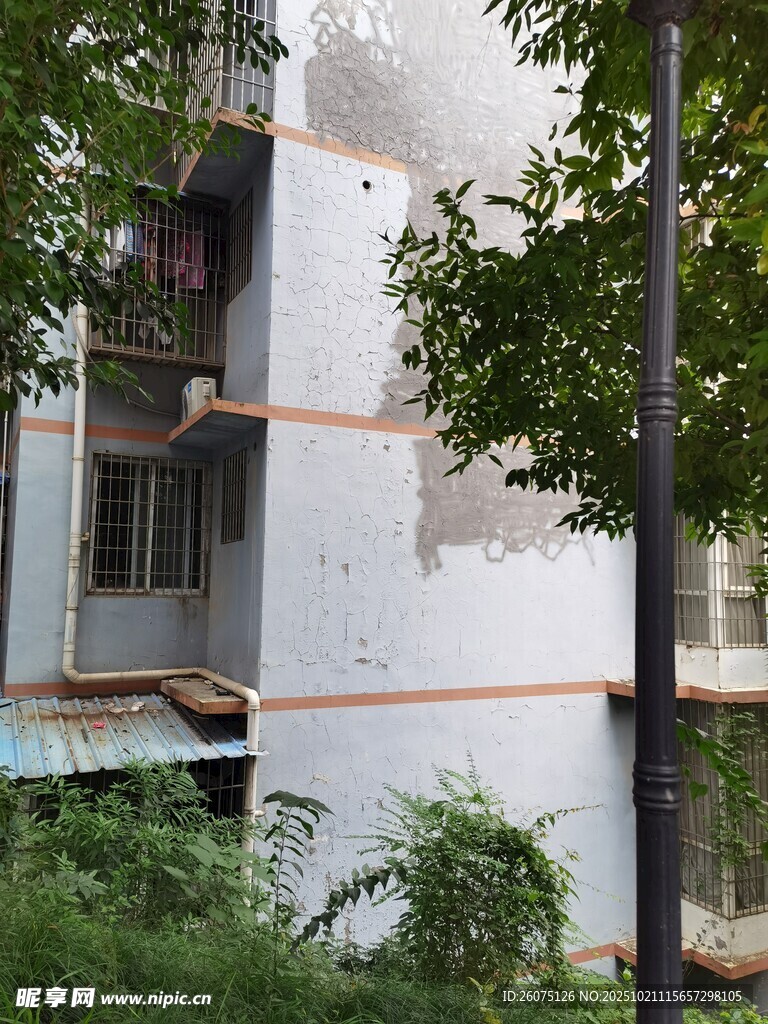 废弃楼房被绿植环绕