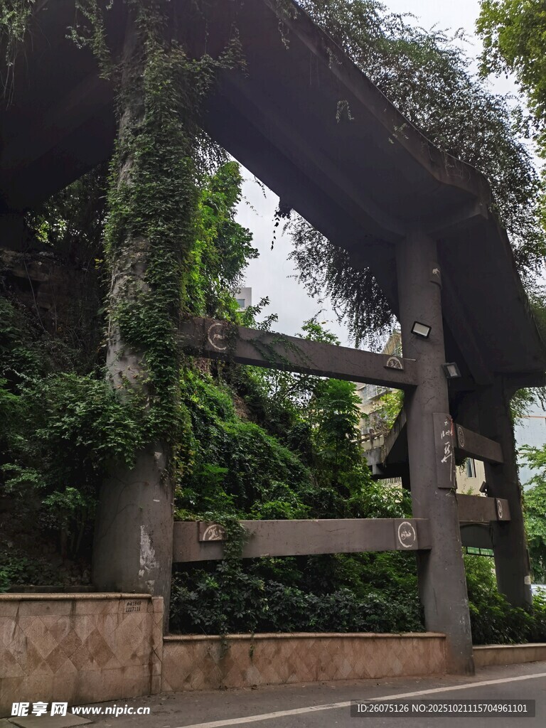 藤蔓缠绕的古朴木质门廊