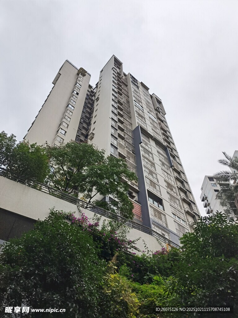 高层住宅楼与绿植景观