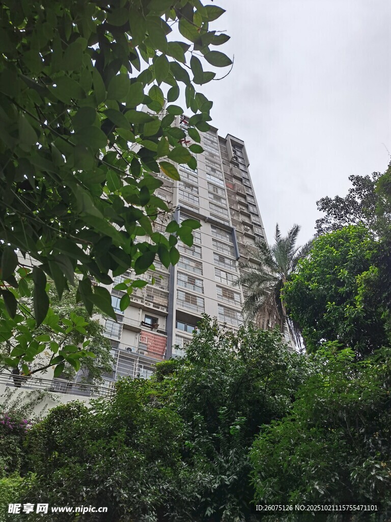 绿树环绕中的古老建筑