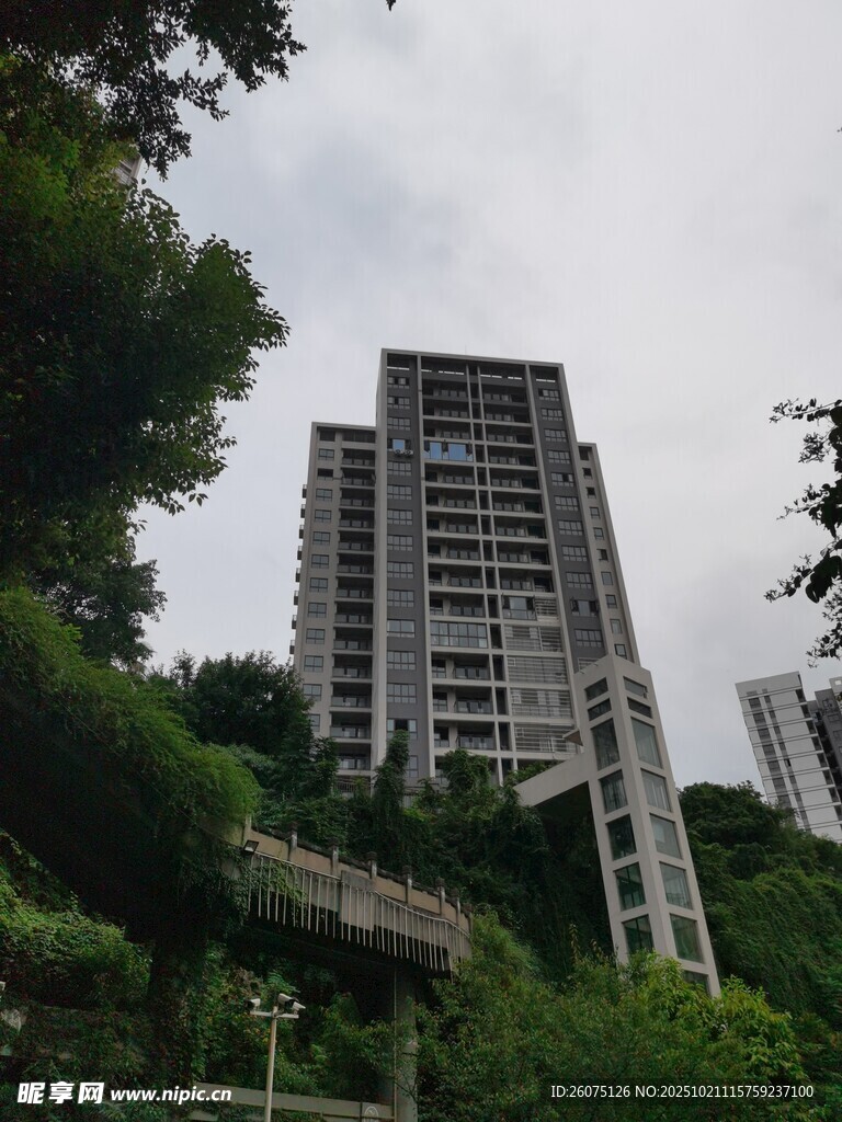 绿树环绕中的高层住宅