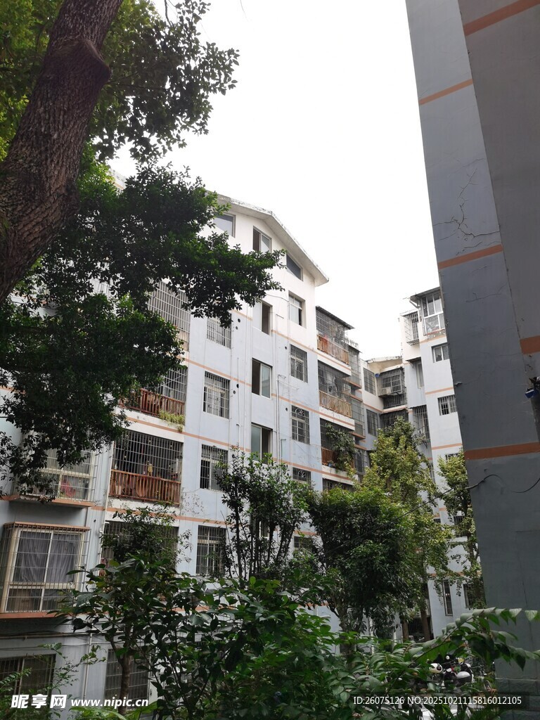 小区楼房与绿植景观