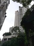 城市中绿植环绕的高楼景观
