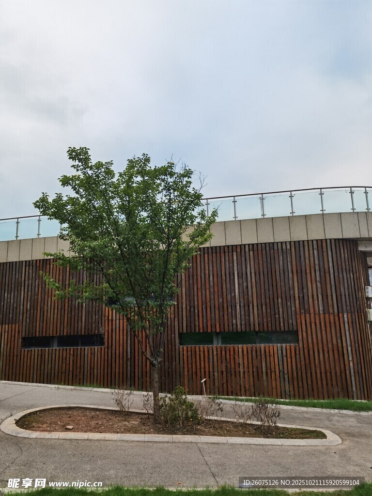 木质建筑旁的葱郁小树
