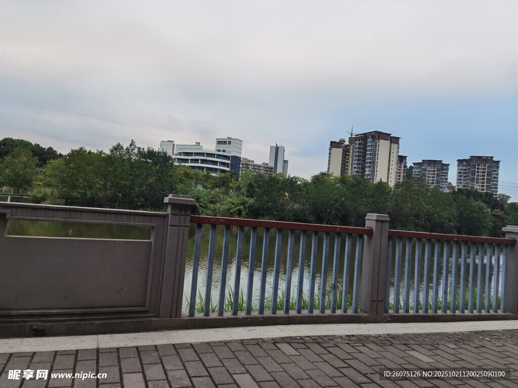 河畔城市风光