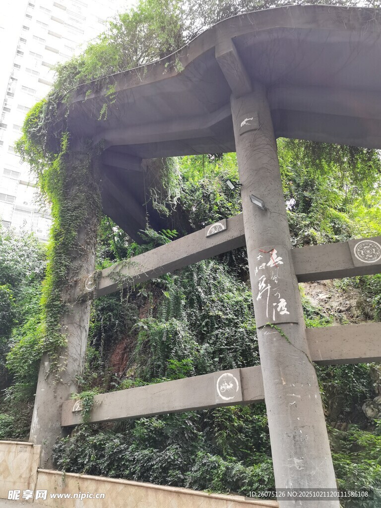 废弃桥体爬满繁茂绿植