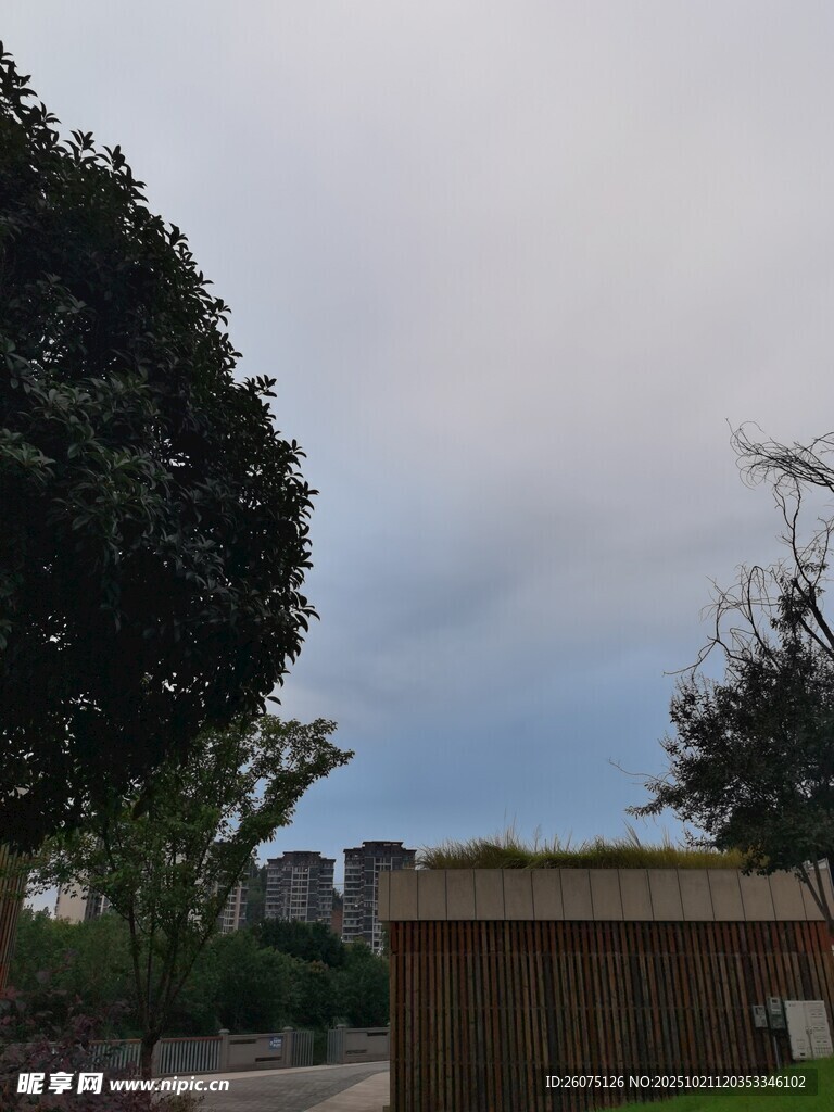户外庭院绿植与天空景象