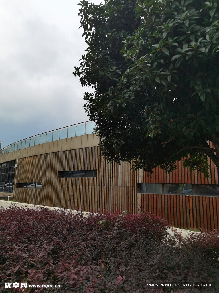 现代建筑旁的绿植景观