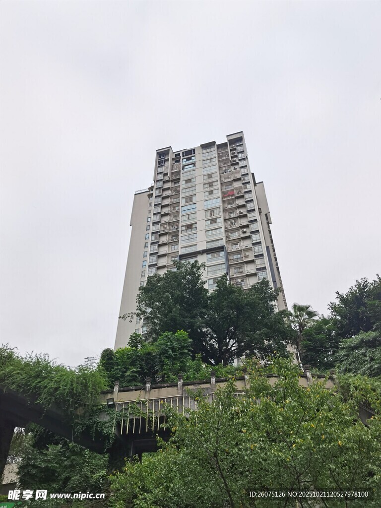 高楼矗立绿植环绕景观