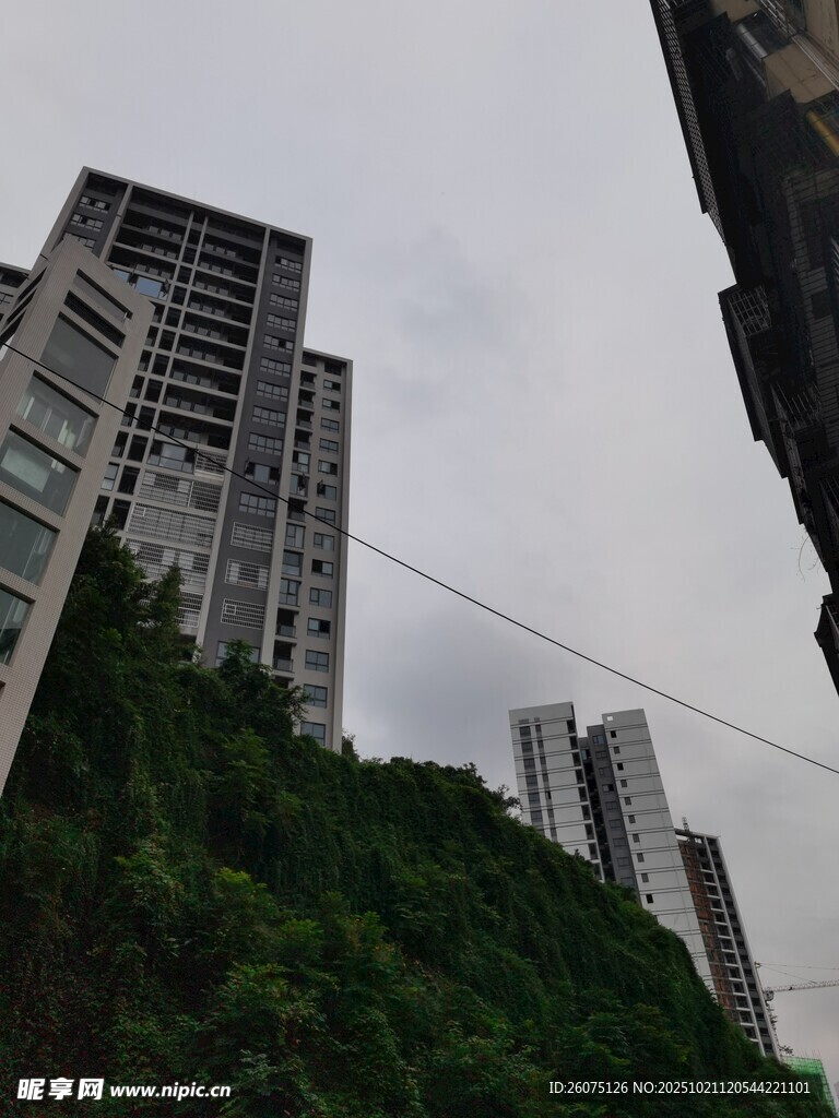 高楼旁绿意盎然的山坡