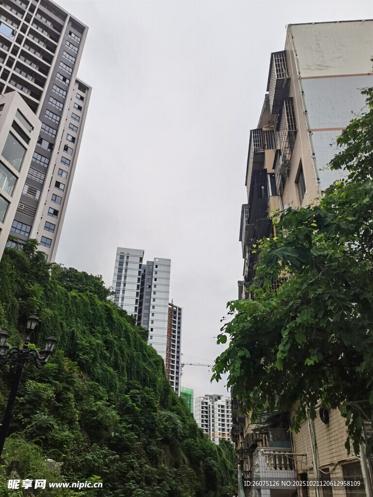 城市间绿树掩映的高楼