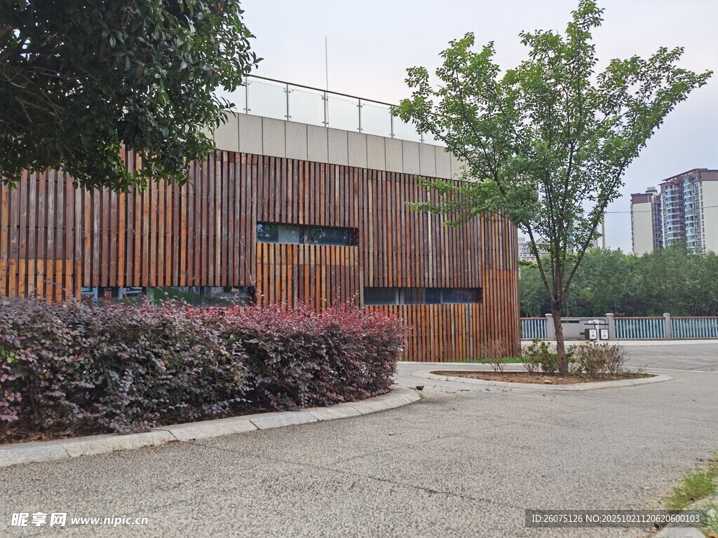 现代风格建筑旁的绿植景观