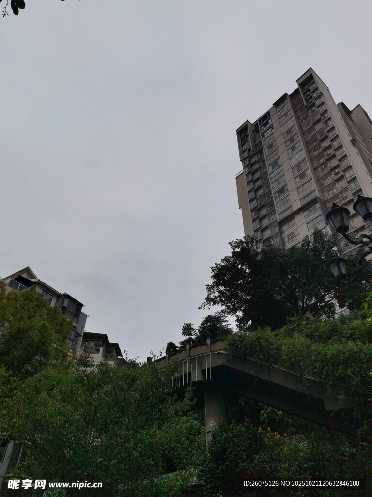 高楼耸立绿植环绕景象