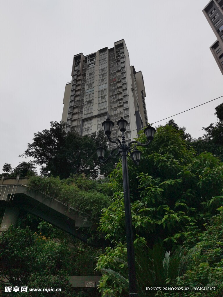 高楼矗立在葱郁绿植间