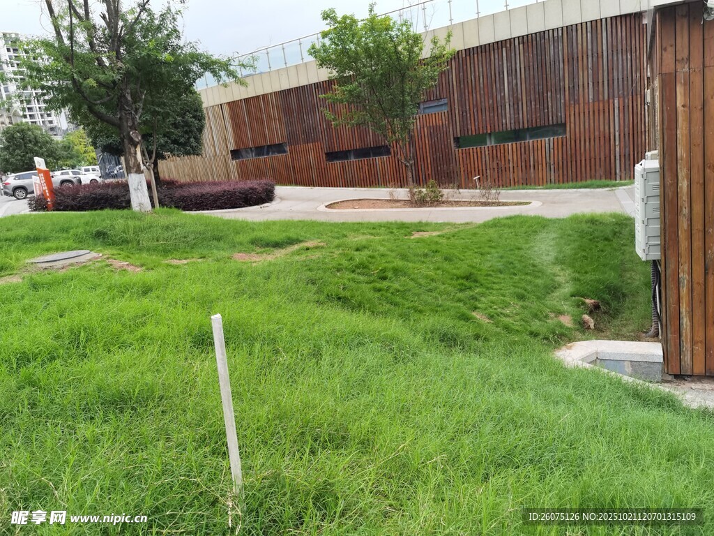 户外绿草旁的建筑物