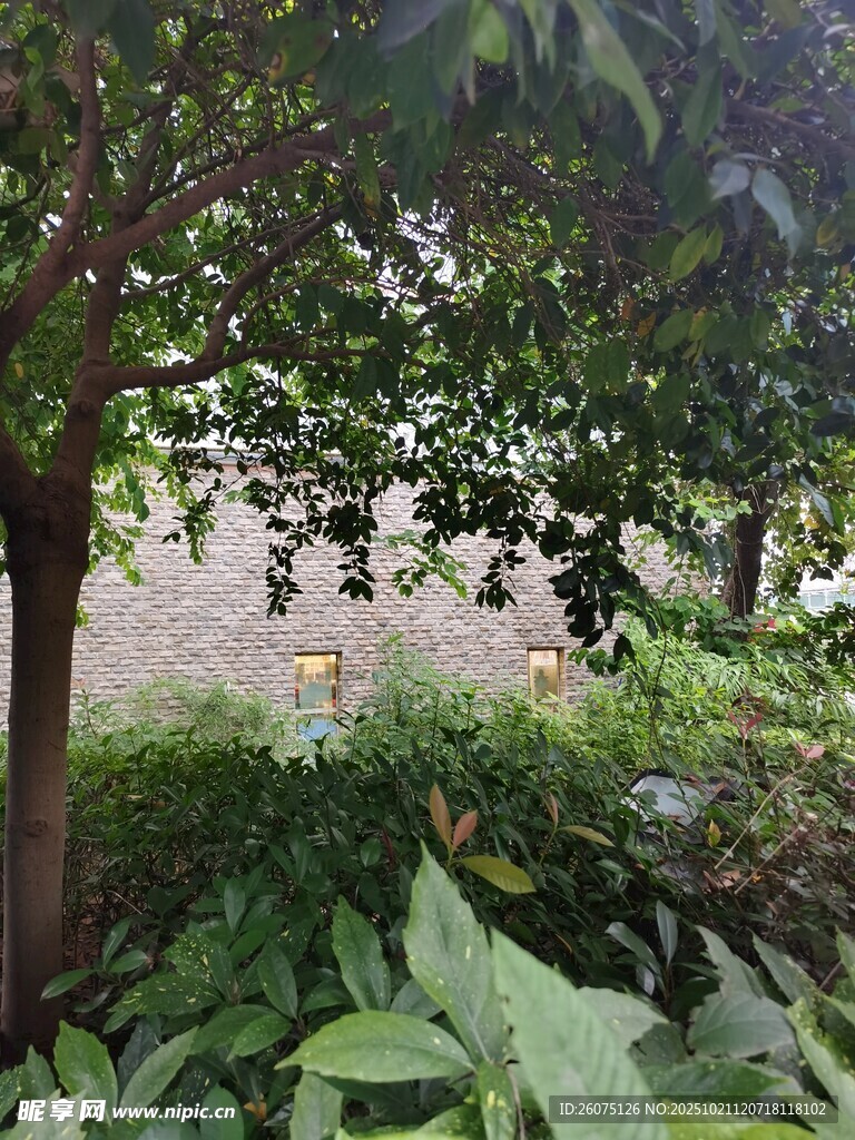 绿荫下的自然景致