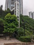 城市中绿树环绕的高楼建筑