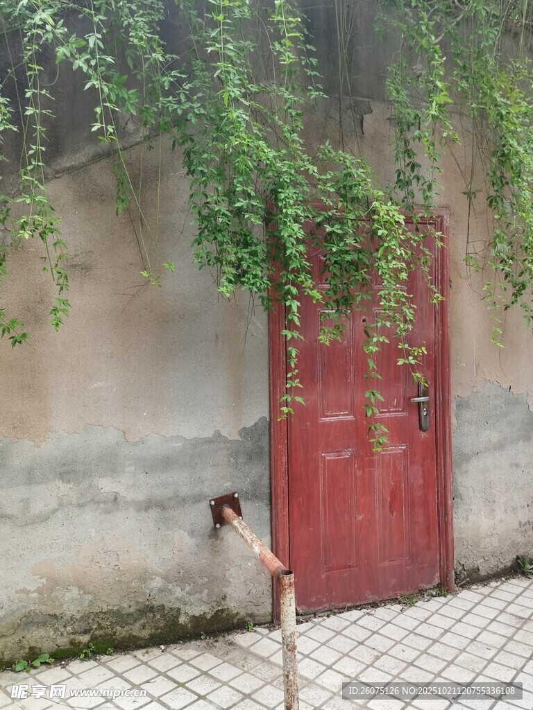 红门绿植装点古朴墙面