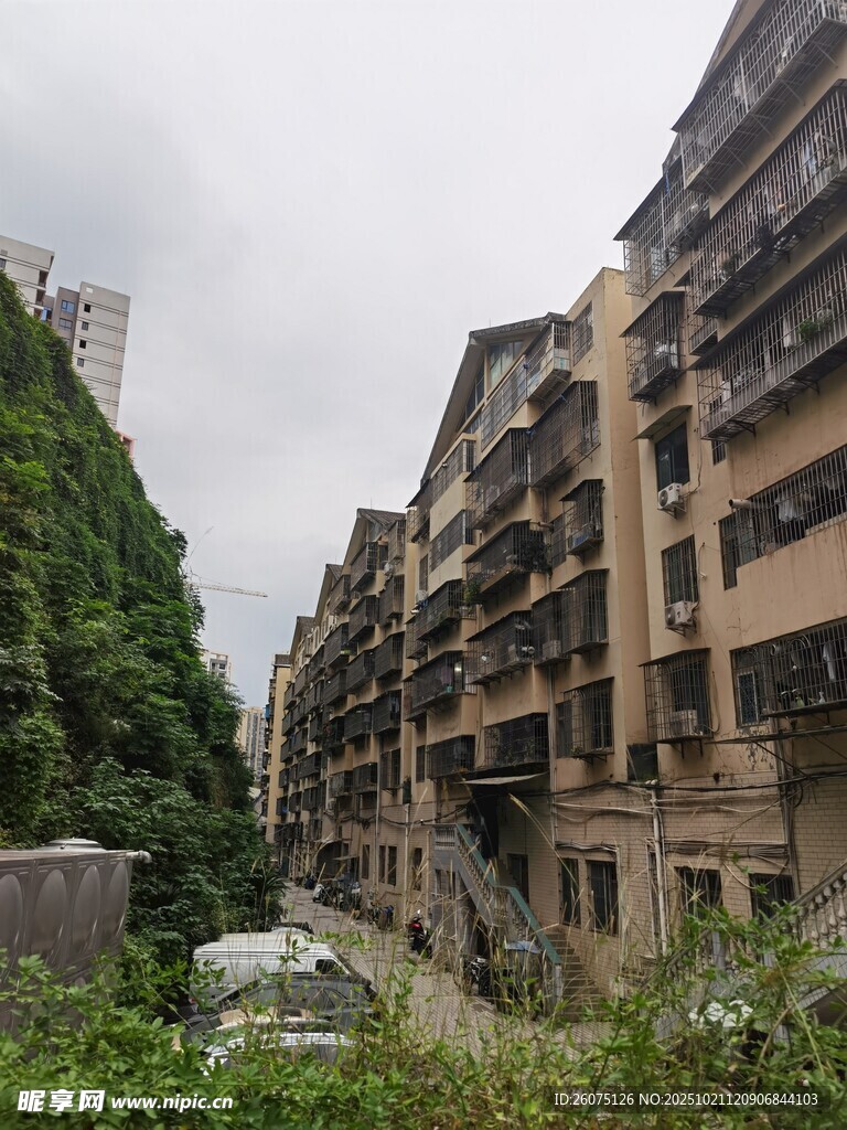 老旧居民楼周边绿植环绕
