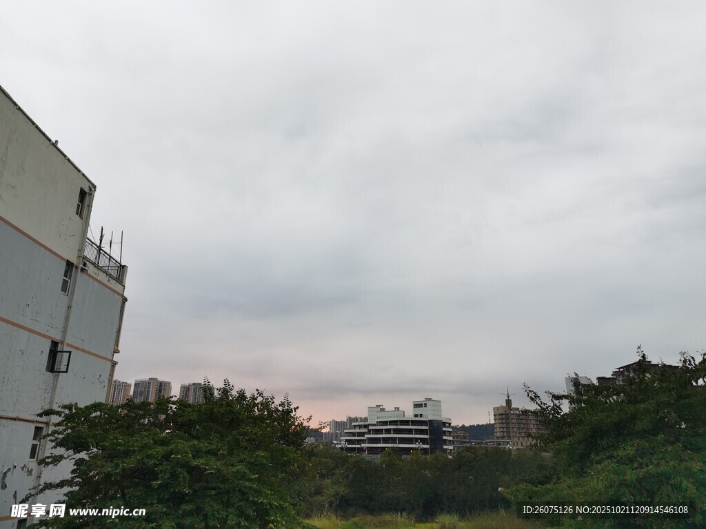 阴天时的建筑与绿植景观