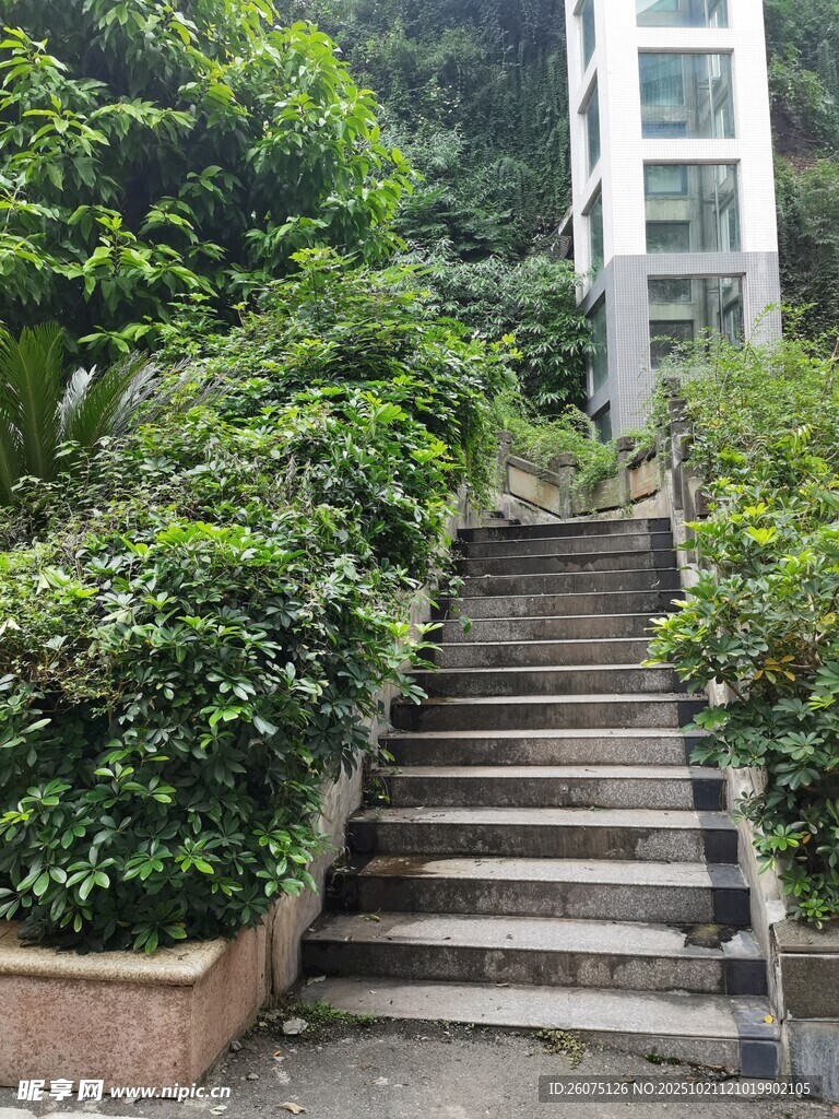 绿植环绕的石阶步道与户外电梯