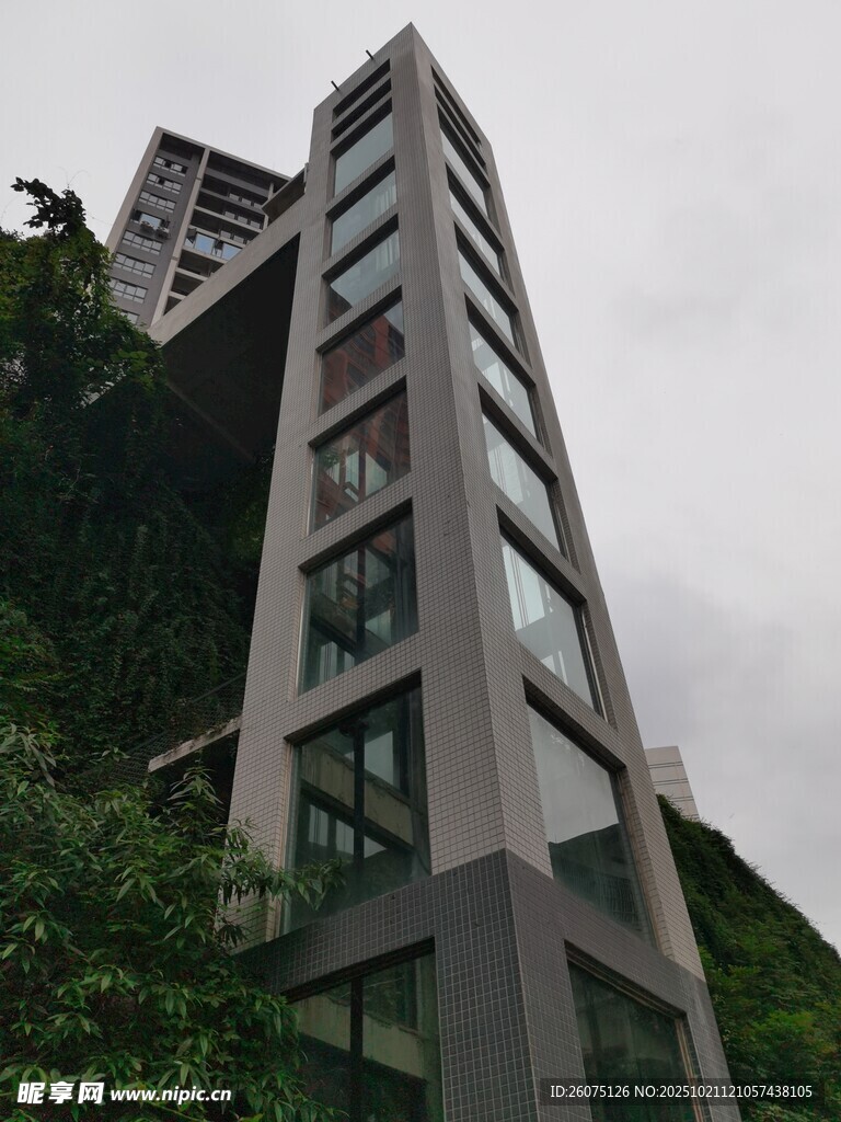 现代高楼与周边绿植景观