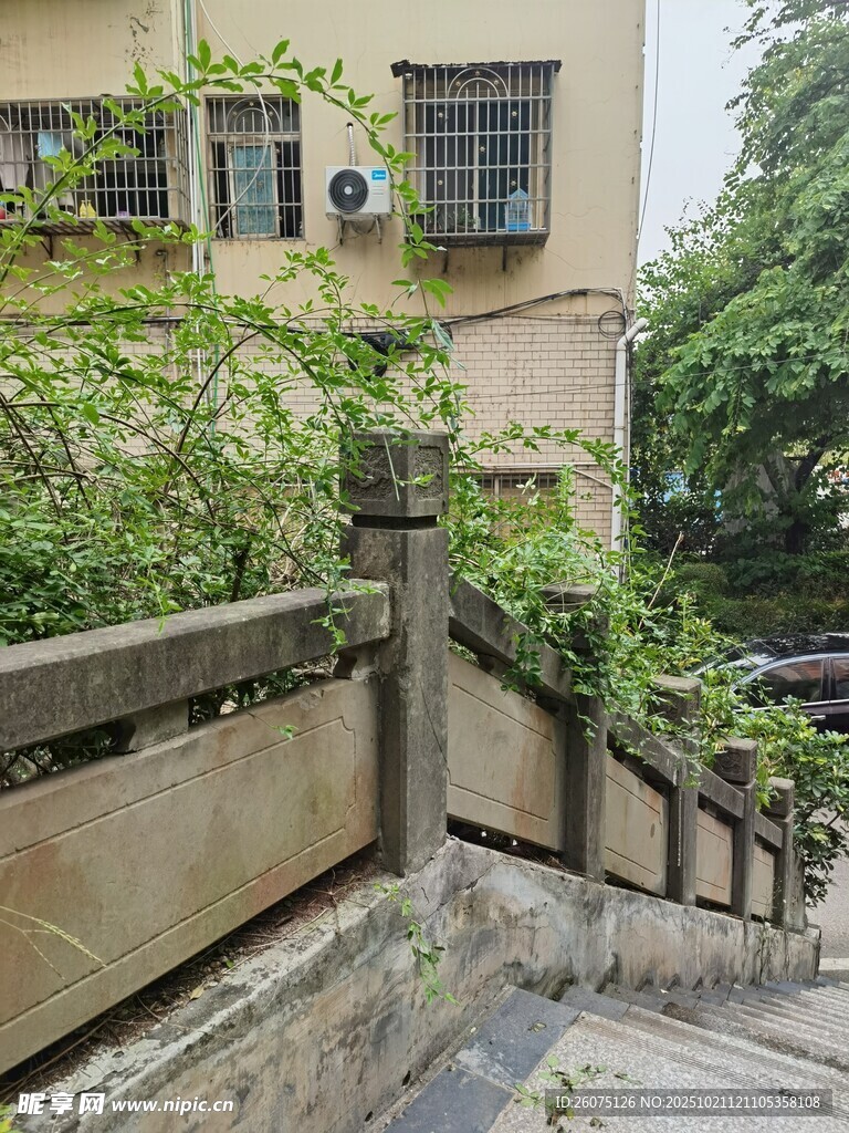 老旧建筑旁的绿植与石阶
