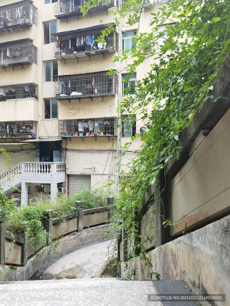 老旧居民楼旁的绿植小径