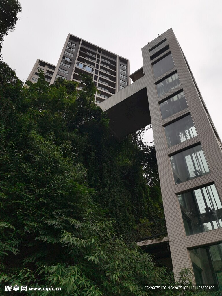 丛林中的现代高楼建筑