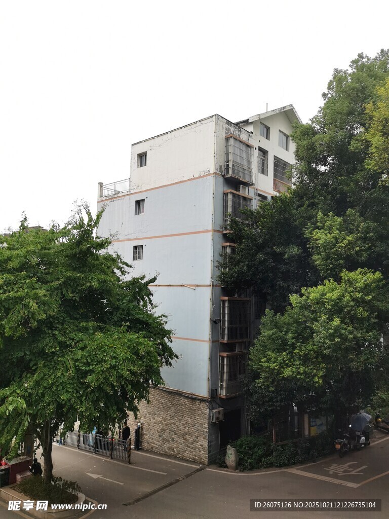 街边绿树环绕的多层建筑