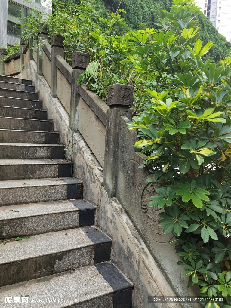 石梯旁绿意盎然的景致