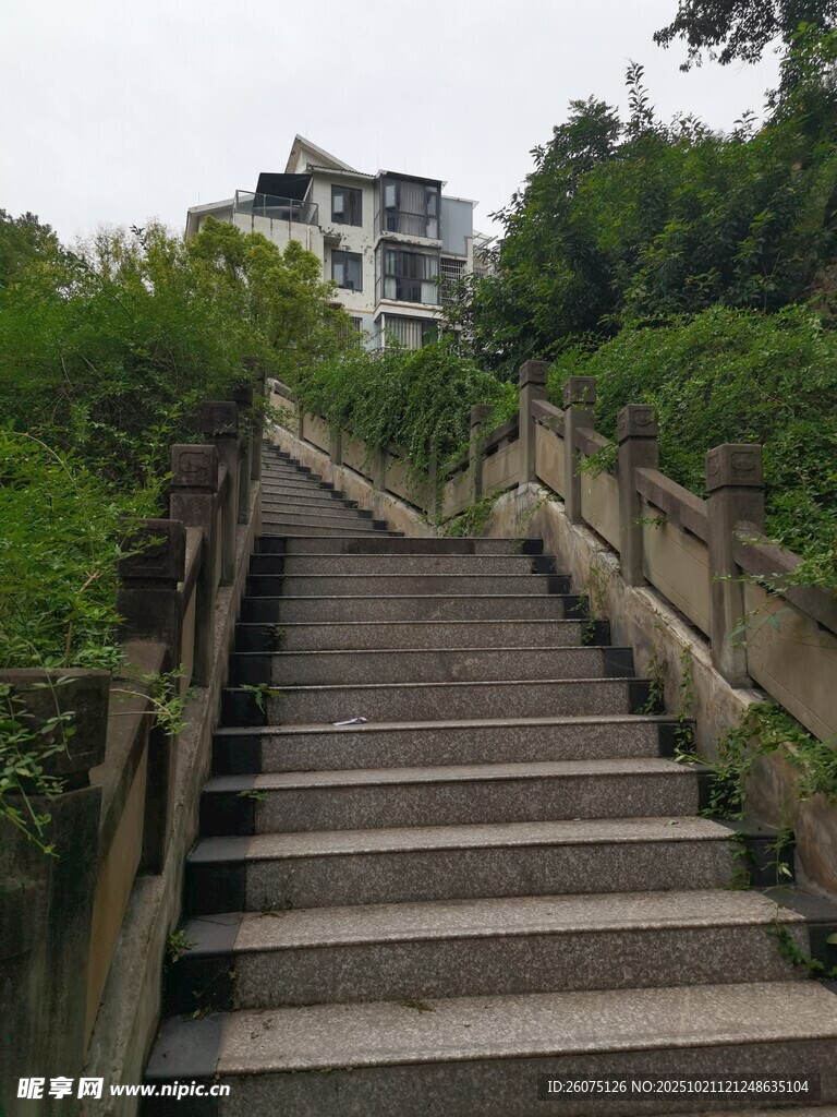 山间石阶小道静谧景致